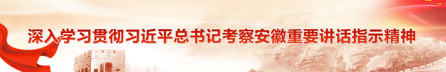 學習貫徹習近平總書記考察安徽重要講話精神